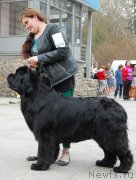 Превью фото № 181397