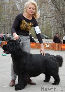 Превью фото № 181401