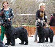 Превью фото № 181402