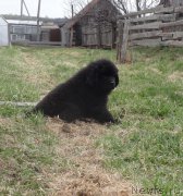 Превью фото № 181437