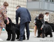 Превью фото № 181455