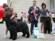 Превью фото № 181461