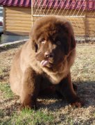 Превью фото № 181507