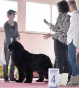 Превью фото № 181541