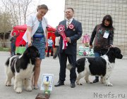 Превью фото № 181607