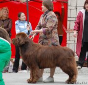 Превью фото № 181611