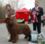 Превью фото № 181612