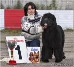 Превью фото № 18164