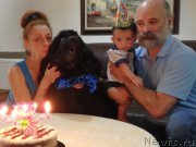 Превью фото № 181653