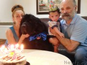 Превью фото № 181654