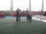 Превью фото № 181658