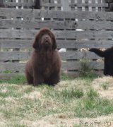 Превью фото № 181662