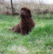 Превью фото № 181663