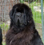 Превью фото № 181710