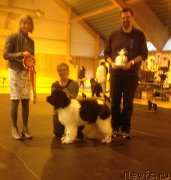 Превью фото № 181715