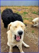 Превью фото № 181730