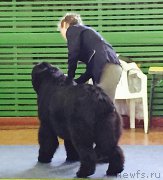 Превью фото № 181732