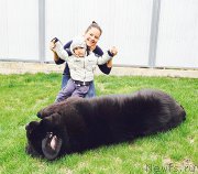 Превью фото № 181735