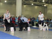 Превью фото № 181746