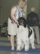 Превью фото № 181753