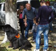 Превью фото № 181766