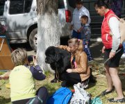 Превью фото № 181767