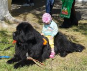 Превью фото № 181768
