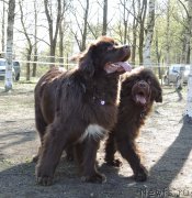 Превью фото № 181794