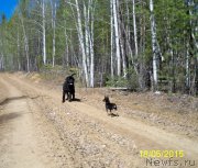 Превью фото № 181831