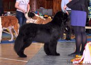 Превью фото № 181839