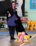 Превью фото № 181840