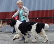 Превью фото № 181844