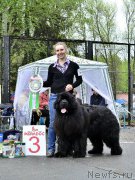 Превью фото № 181882