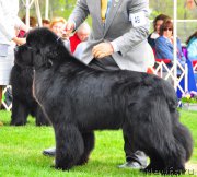 Превью фото № 181884