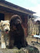 Превью фото № 181948