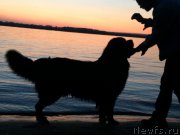 Превью фото № 182038