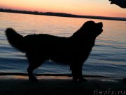 Превью фото № 182039