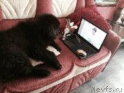 Превью фото № 182043