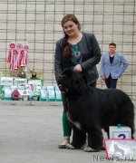 Превью фото № 182047