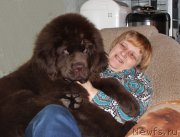 Превью фото № 182061