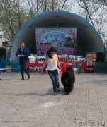 Превью фото № 182100