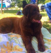 Превью фото № 182114