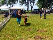 Превью фото № 182143