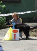 Превью фото № 182175