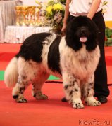 Превью фото № 182221