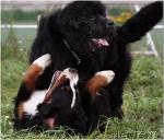 Превью фото № 18228