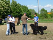 Превью фото № 182358