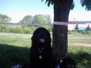 Превью фото № 182361