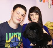 Превью фото № 182363