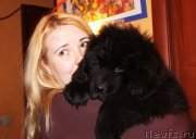 Превью фото № 182364